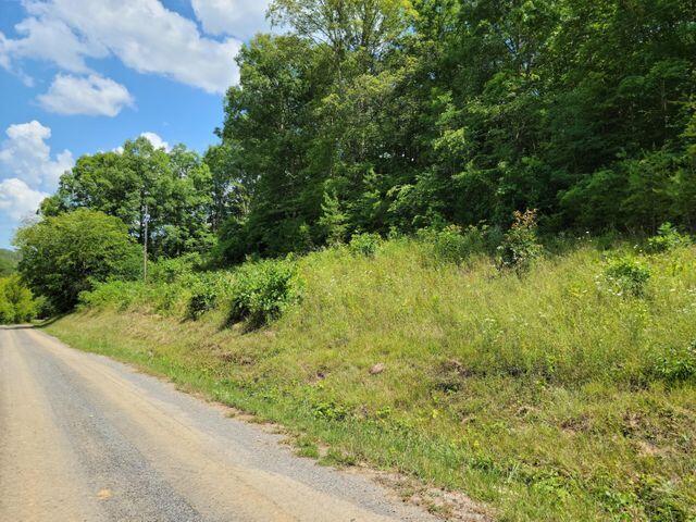 Tbd Tbd Greene Road Bulls Gap, TN 37711 - Photo 8 of 76 20210718160403137190000000-o