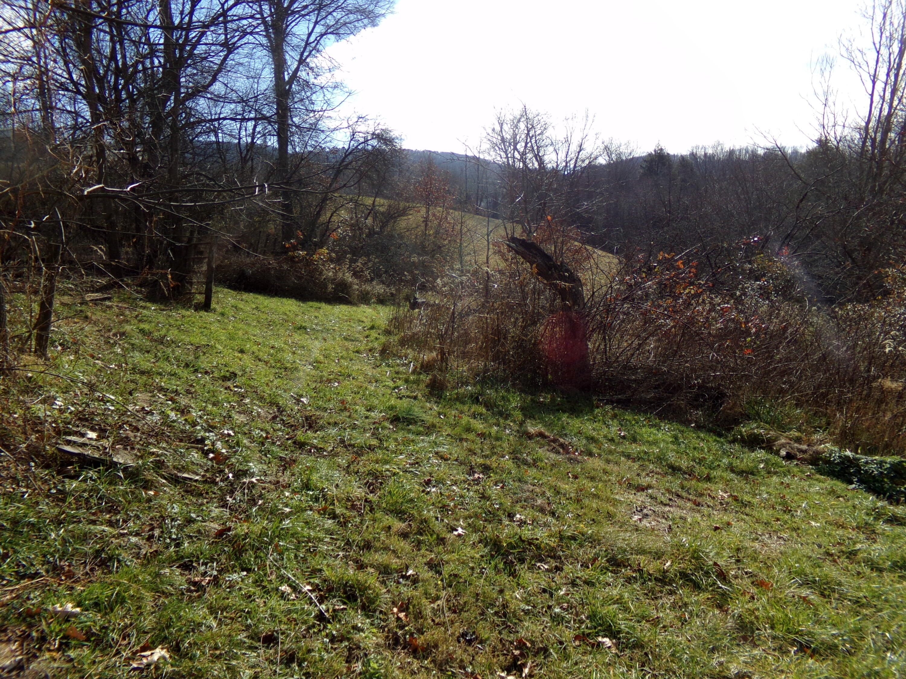 200 Odd School Road Odd, WV 25902 - Photo 32 of 36 Gallery Image 32