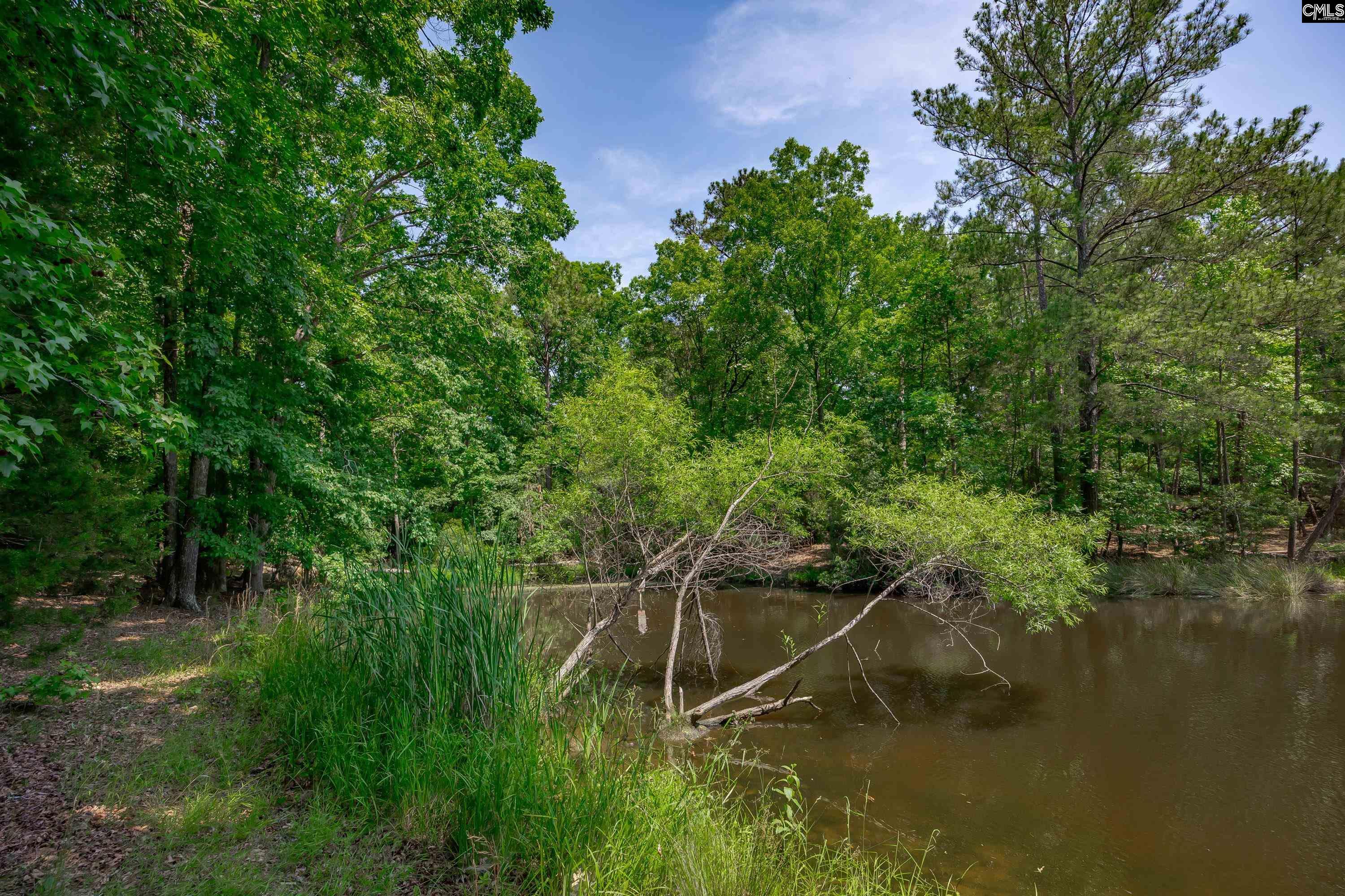 841 Foxden Road Gilbert, SC 29054 - Photo 44 of 52