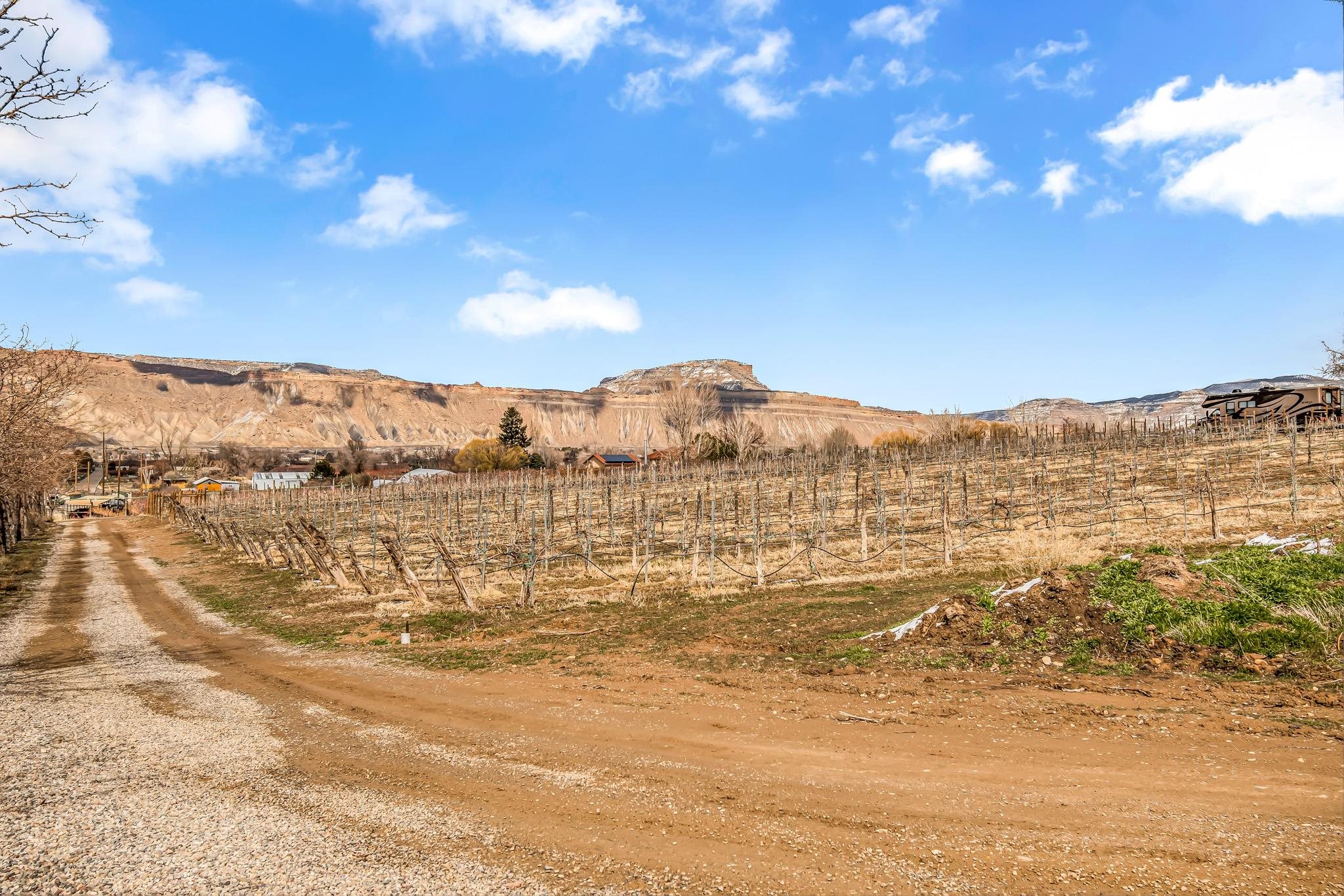 3553 1/2 E Road Palisade, CO 81526 - Photo 7 of 16 a view of lake view and mountain