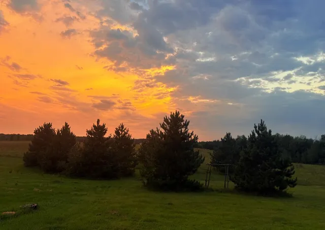 $580,000 | 59871 Co Highway 52, Wadena, MN 56482