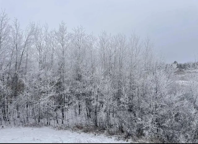 $580,000 | 59871 Co Highway 52, Wadena, MN 56482