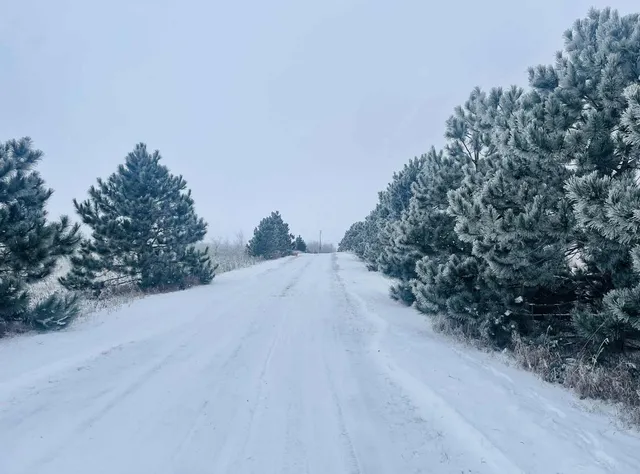 $580,000 | 59871 Co Highway 52, Wadena, MN 56482