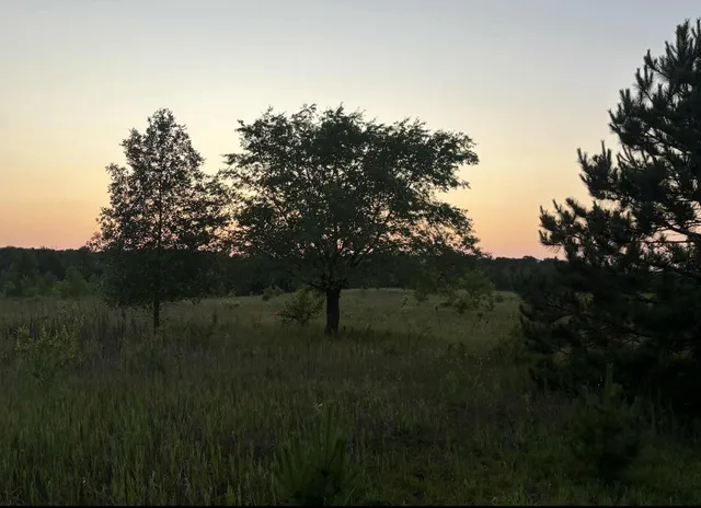 $580,000 | 59871 Co Highway 52, Wadena, MN 56482