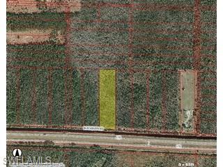 18295 Black Burn Road Naples, FL 34117 - Photo 1 of 1 a view of a yard
