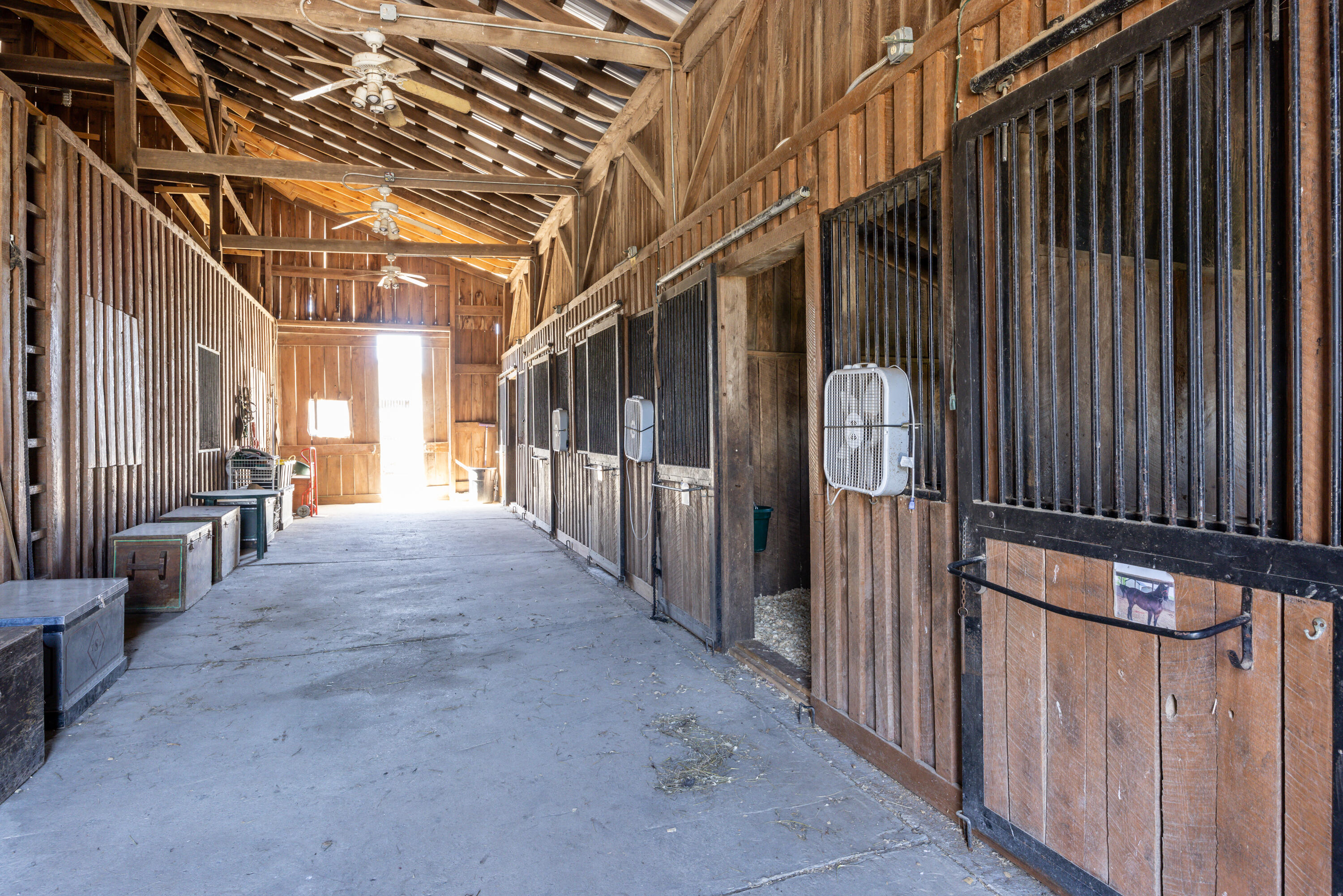 1013-1027 Hill Road Paris, KY 40361 - Photo 23 of 57 24_0311_Hill Road Farm_ww-5549