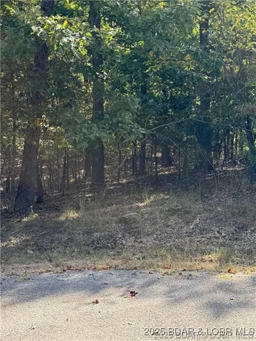 $6,500 | Lot 1093 Salem Drive, Four Seasons, MO 65049