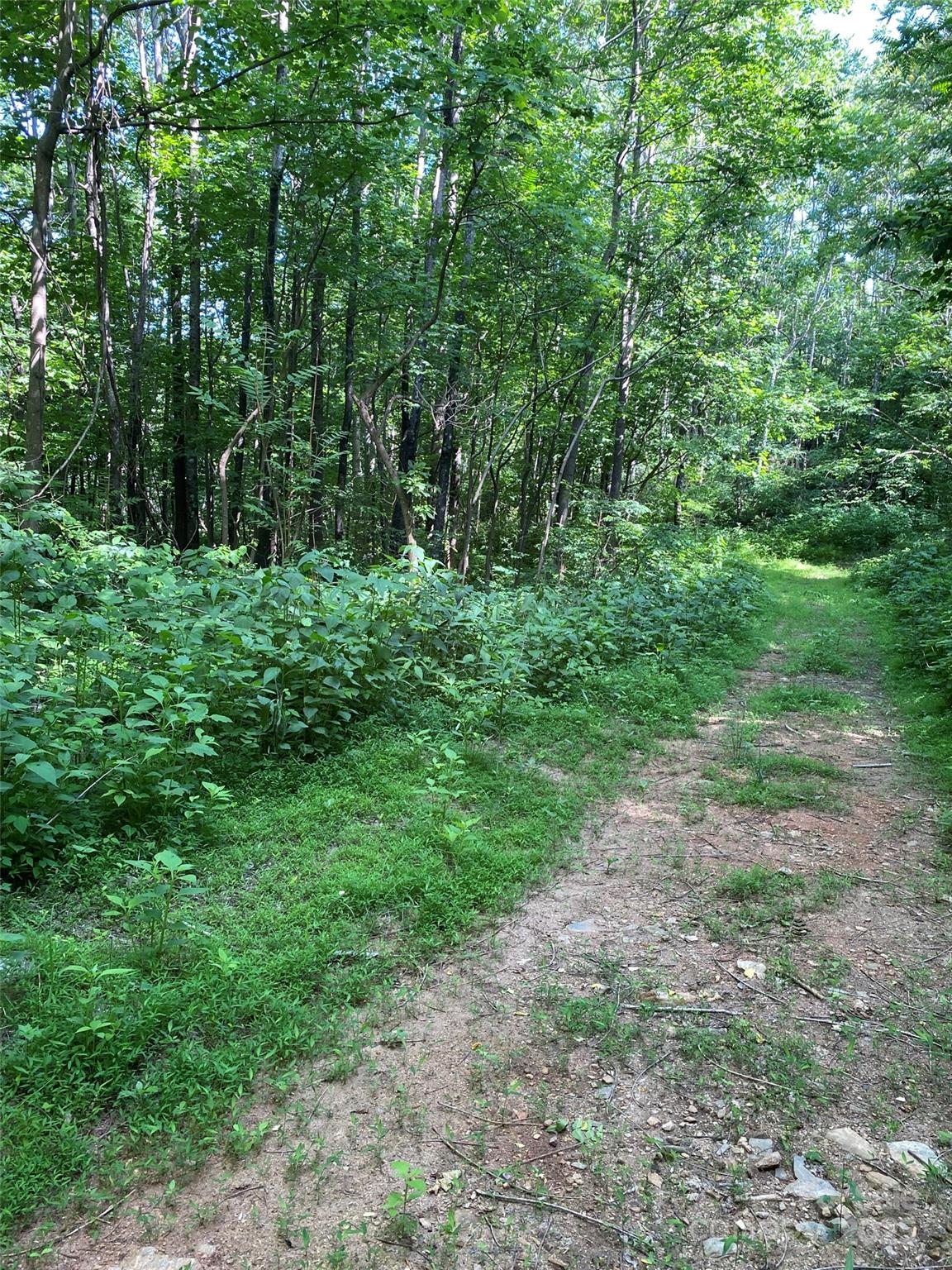 0 Cherry Hill, Unit 202 Mill Spring, NC 28756 - Photo 2 of 4