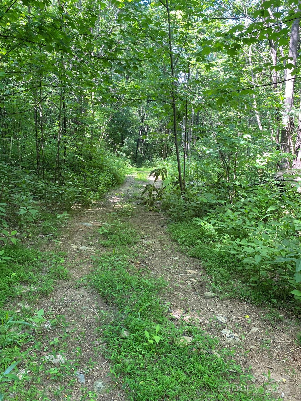 0 Cherry Hill, Unit 202 Mill Spring, NC 28756 - Photo 3 of 4