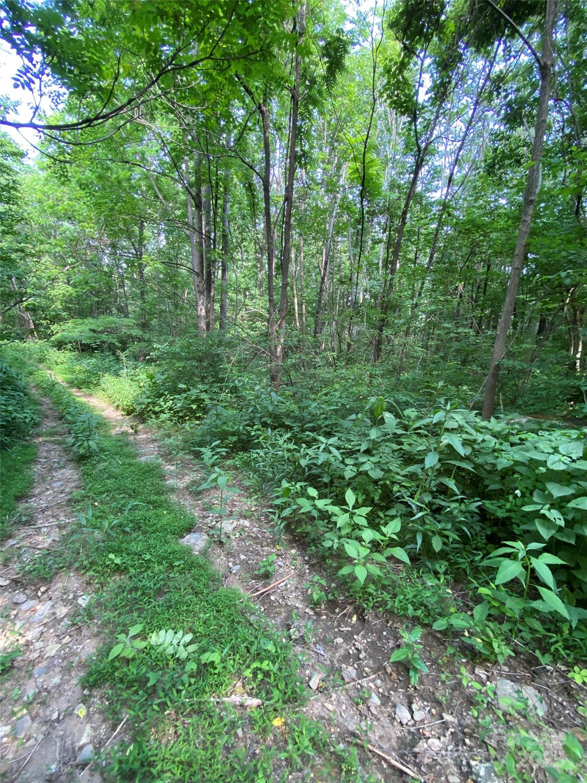 0 Cherry Hill, Unit 202 Mill Spring, NC 28756 - Photo 4 of 4