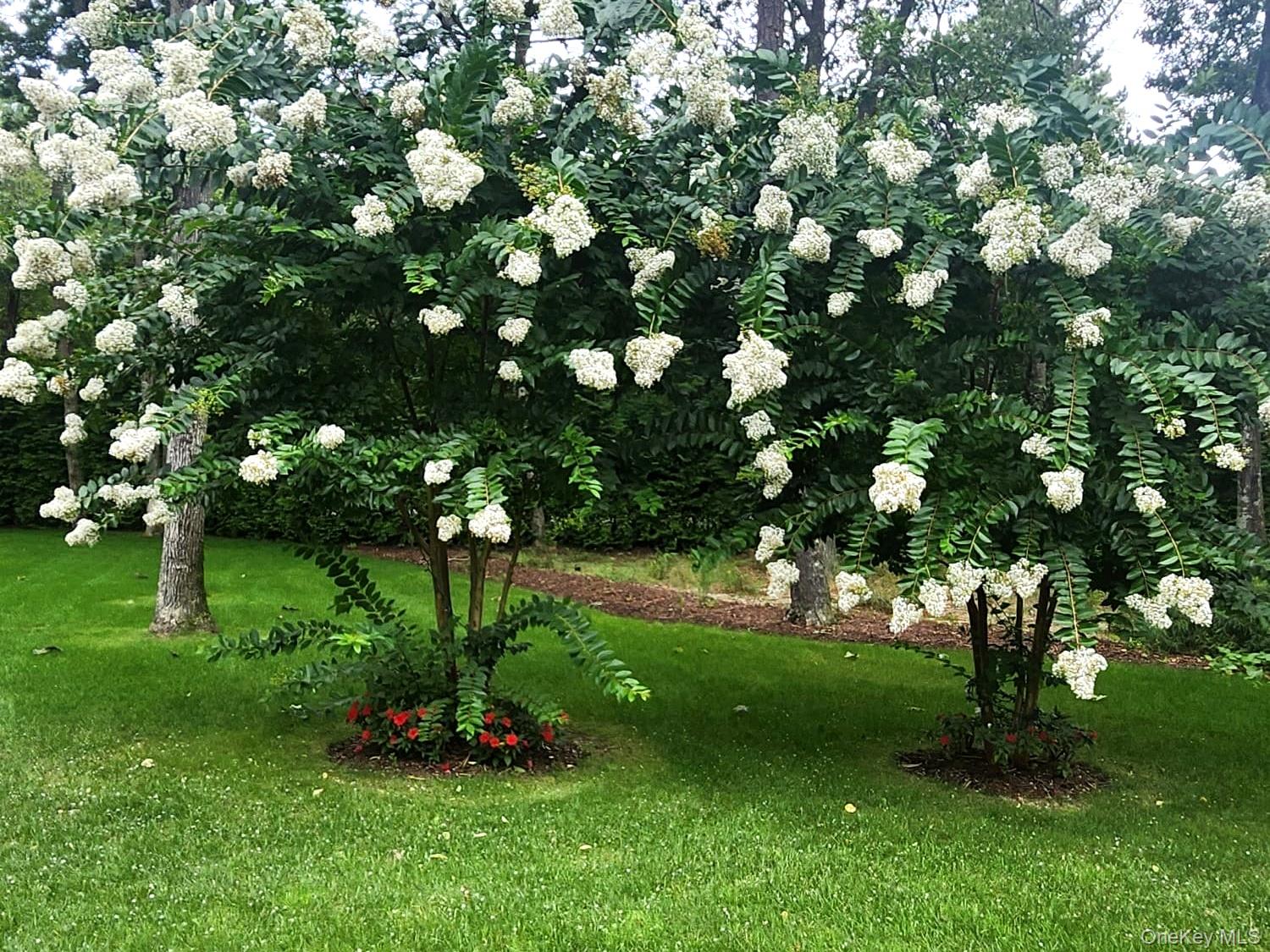 99 Spinney Road East Quogue, NY 11942 - Photo 38 of 40 a view of a garden