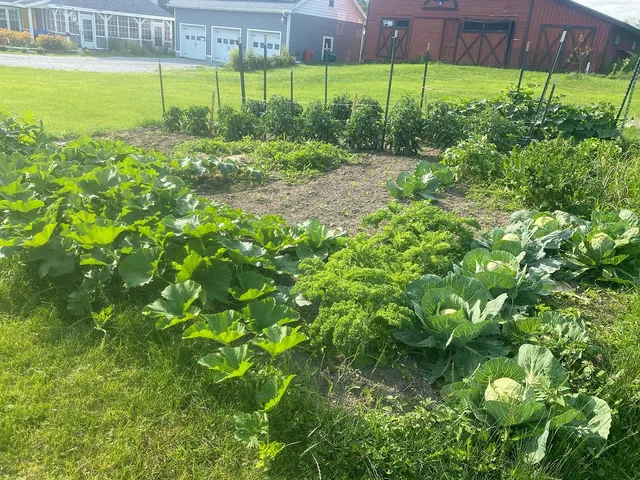 $574,900 | 103 Highway 22A, Orwell, VT 05760