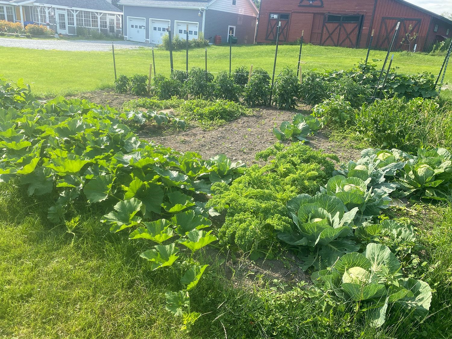 103 Highway 22A Orwell, VT 05760 - Photo 55 of 57