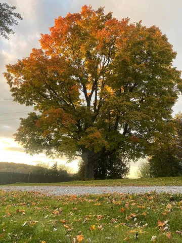 $574,900 | 103 Highway 22A, Orwell, VT 05760