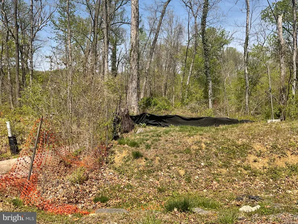 a view of outdoor space and garden