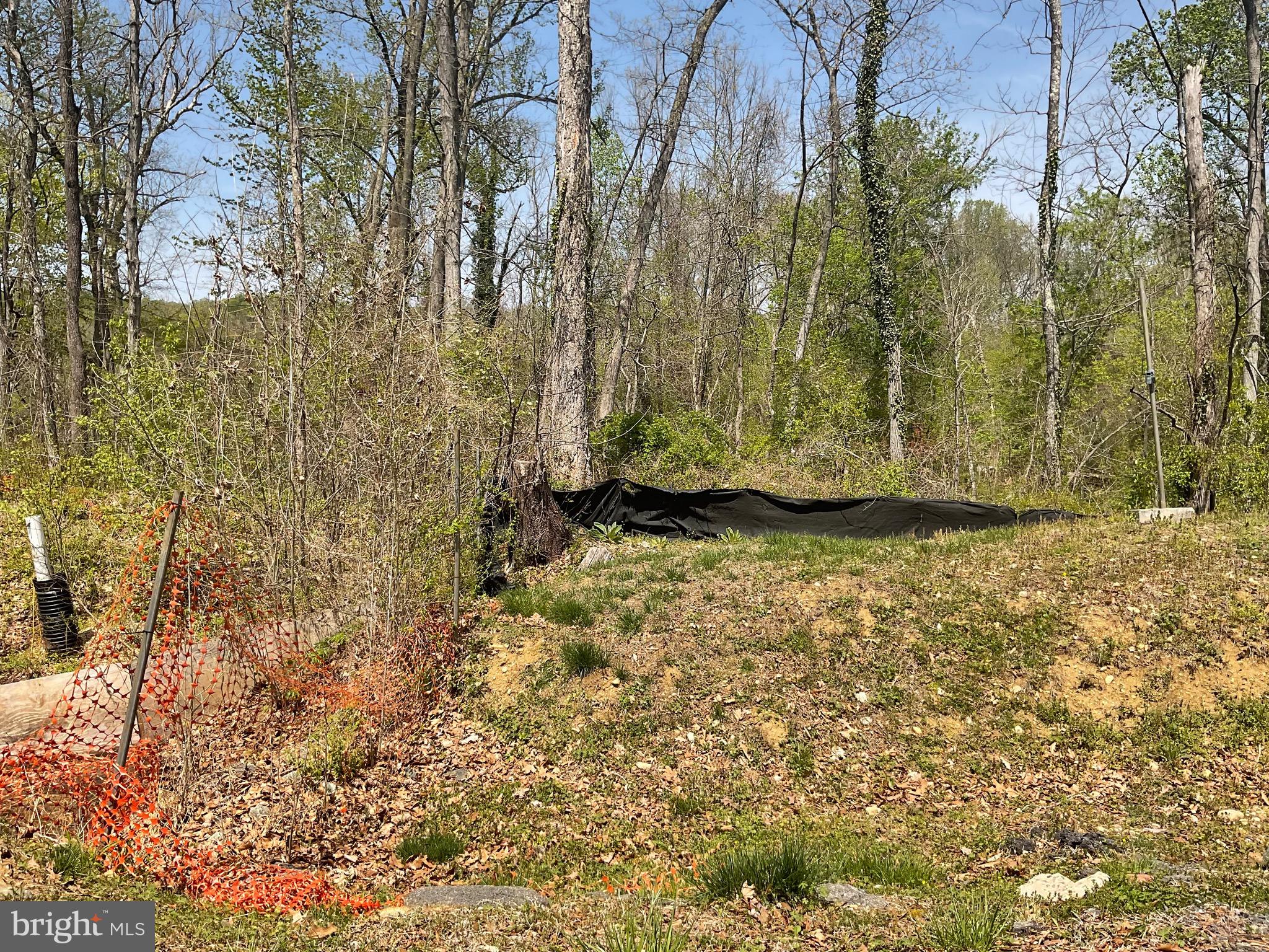 14005 Livingston Road Clinton, MD 20735 - Photo 5 of 6 a view of outdoor space and garden