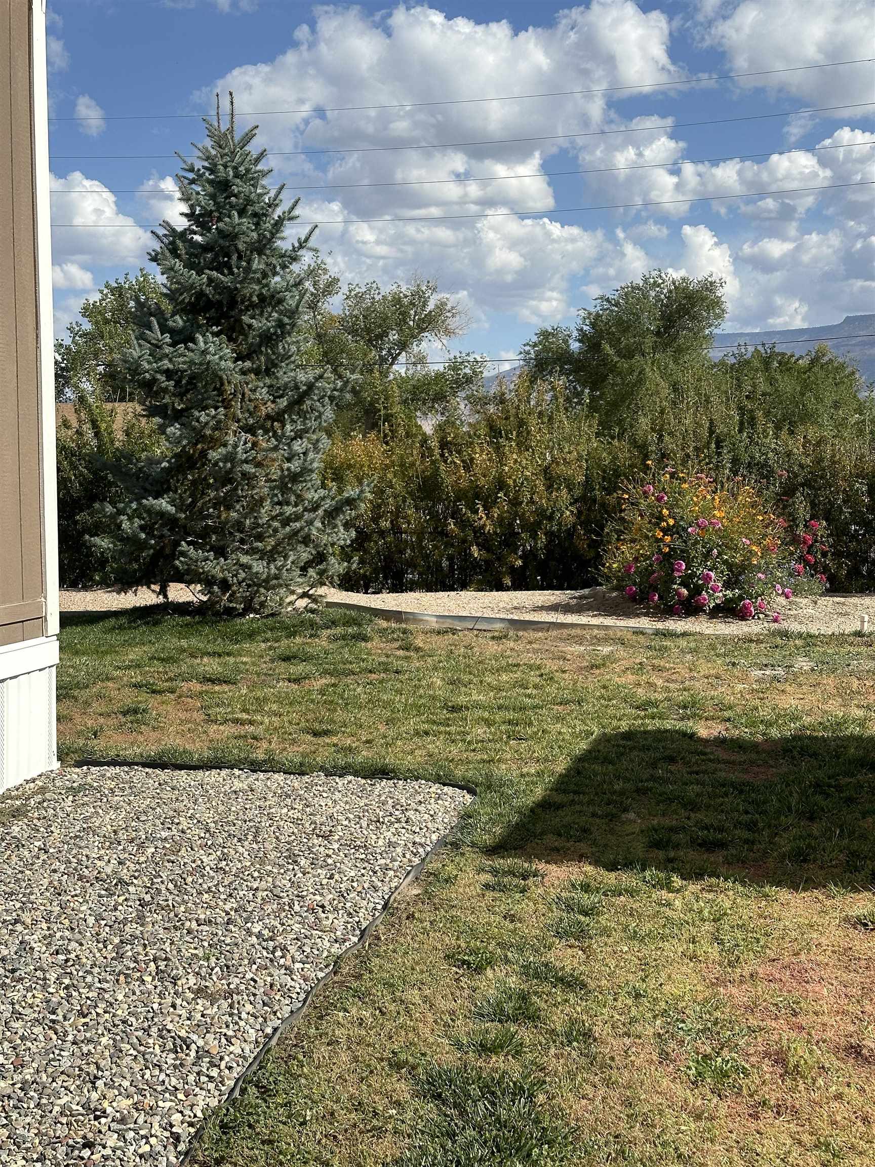 435 32 Road, Unit 60 Clifton, CO 81520 - Photo 6 of 31 Gallery Image 6