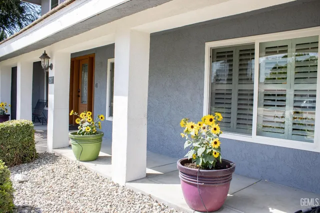 a view of a chair and potted plant
