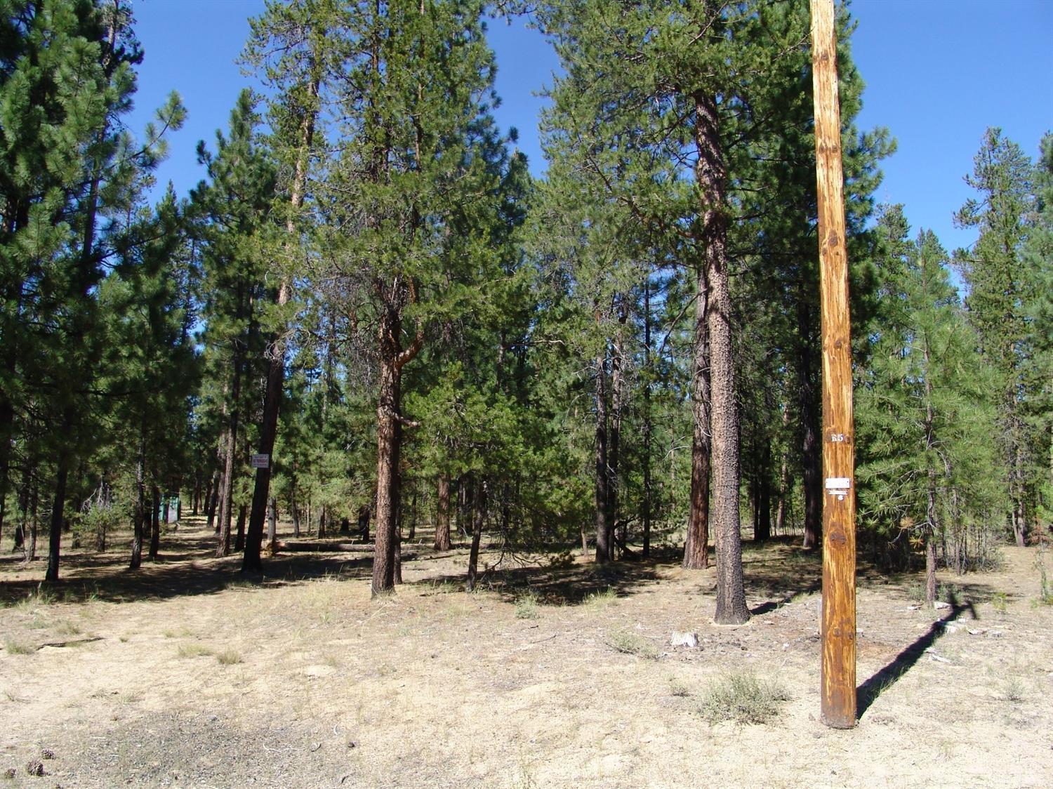 50834 Fawn Loop La Pine, OR 97739 - Photo 1 of 18 Primary Photo