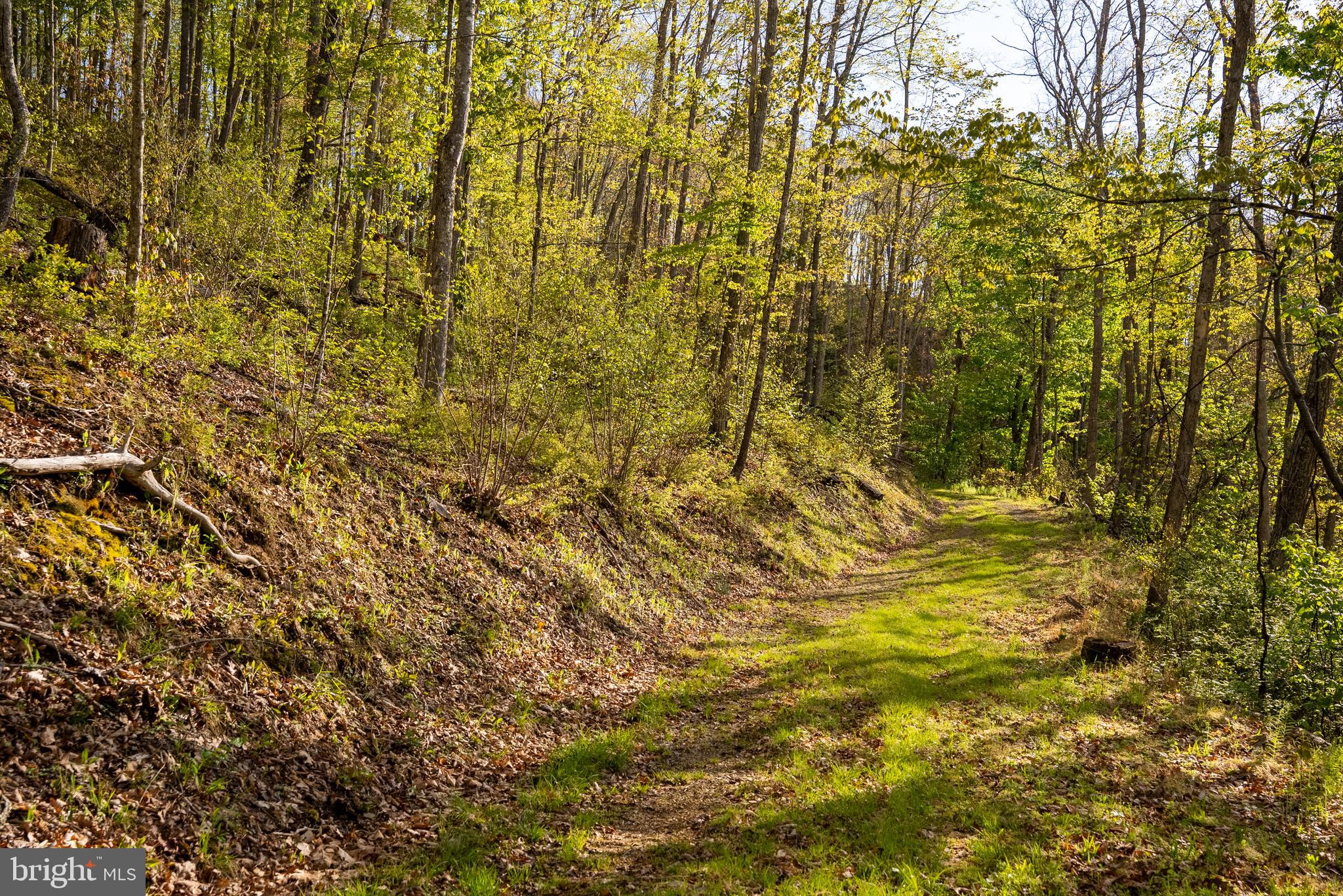 199 Green Bank Road Arbovale, WV 24915 - Photo 75 of 113
