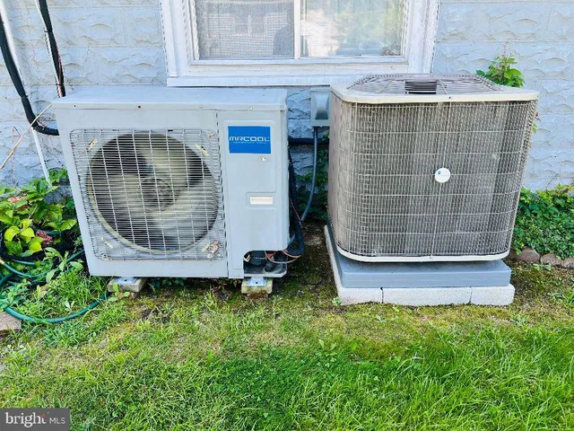 a view of a tree in a yard