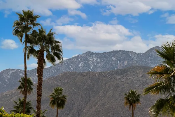 $1,025,000 | 282 North Orchid Tree Lane, Palm Springs, CA 92262