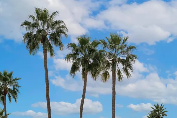 $1,025,000 | 282 North Orchid Tree Lane, Palm Springs, CA 92262