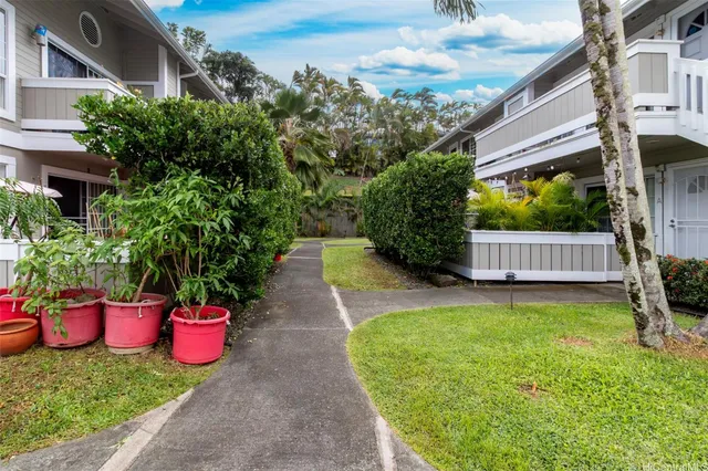 a view of a back yard with potted plants
