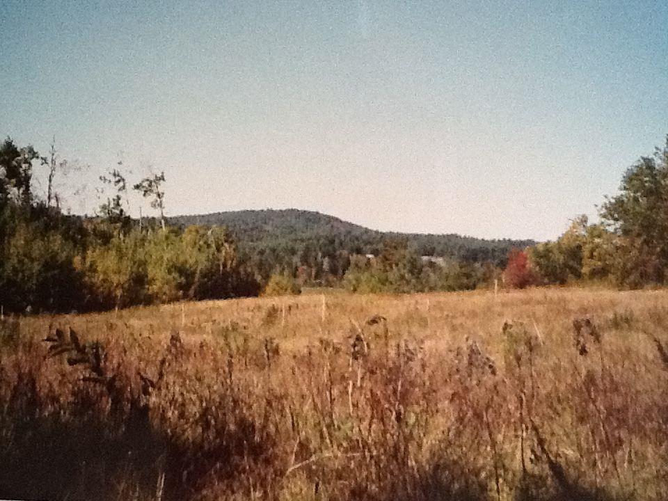 Lot 20 Lot Road Swanville, ME 04915 - Photo 2 of 10 Scenic view
