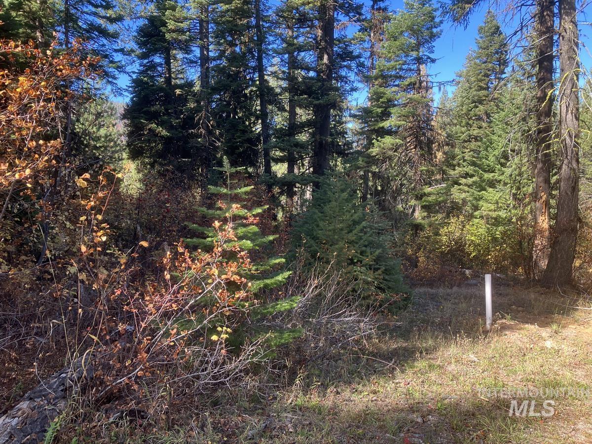 541 West Mountain Road Cascade, ID 83611 - Photo 2 of 9