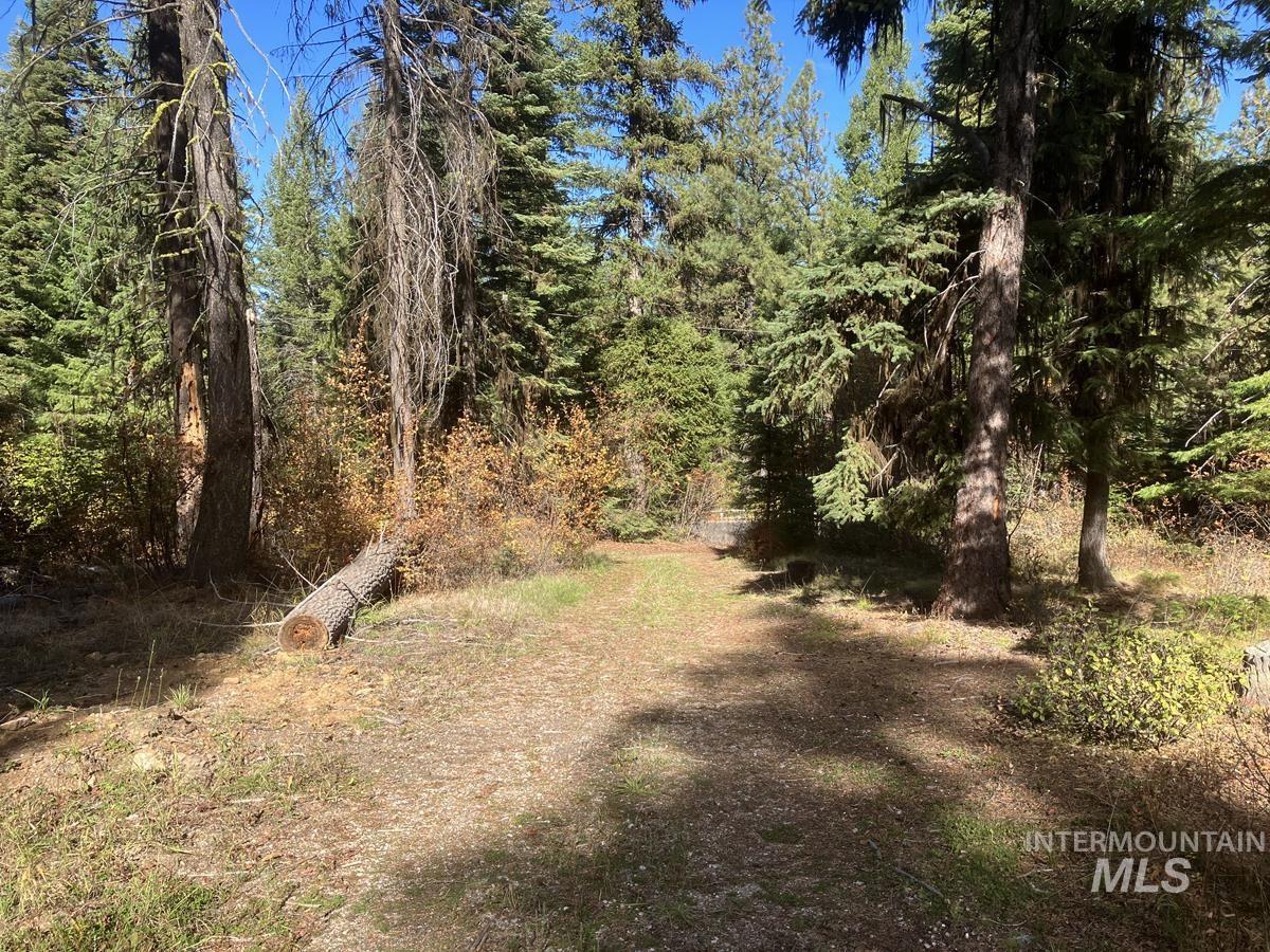 541 West Mountain Road Cascade, ID 83611 - Photo 3 of 9