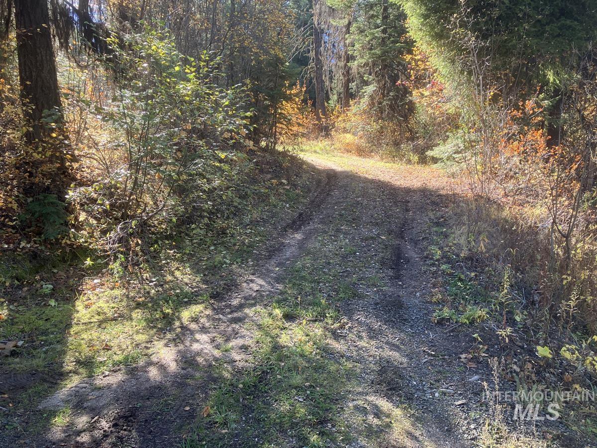 541 West Mountain Road Cascade, ID 83611 - Photo 4 of 9