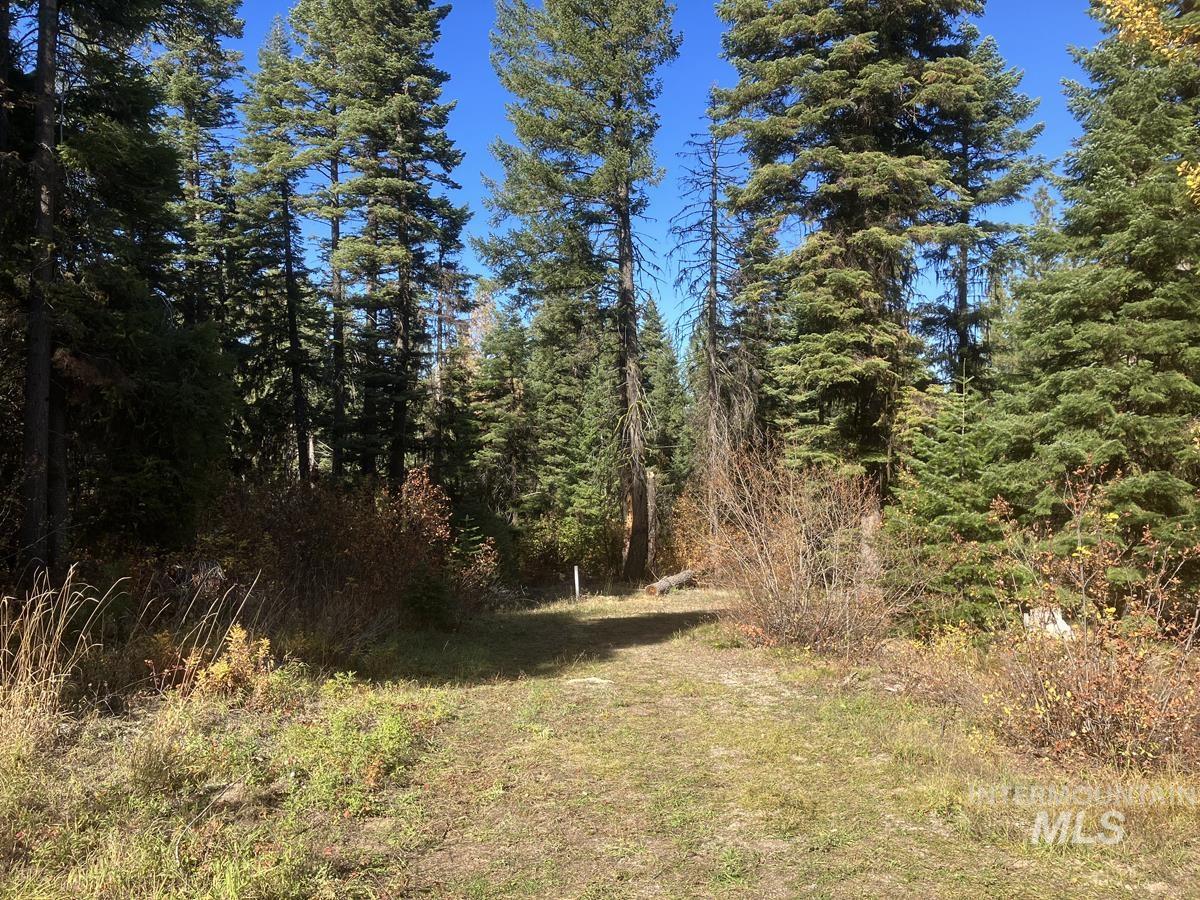 541 West Mountain Road Cascade, ID 83611 - Photo 6 of 9
