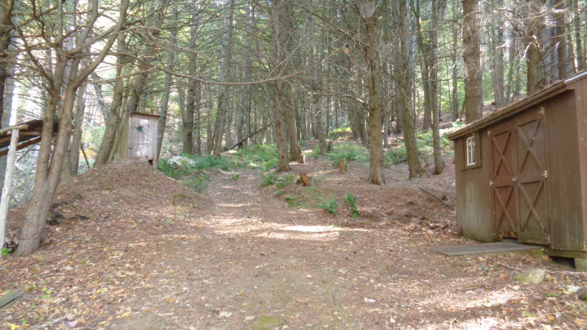 0 Montgomery Road East Randolph, VT 05041 - Photo 11 of 24