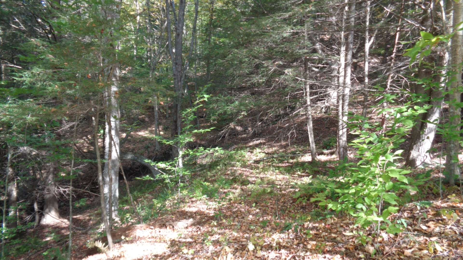 0 Montgomery Road East Randolph, VT 05041 - Photo 17 of 24
