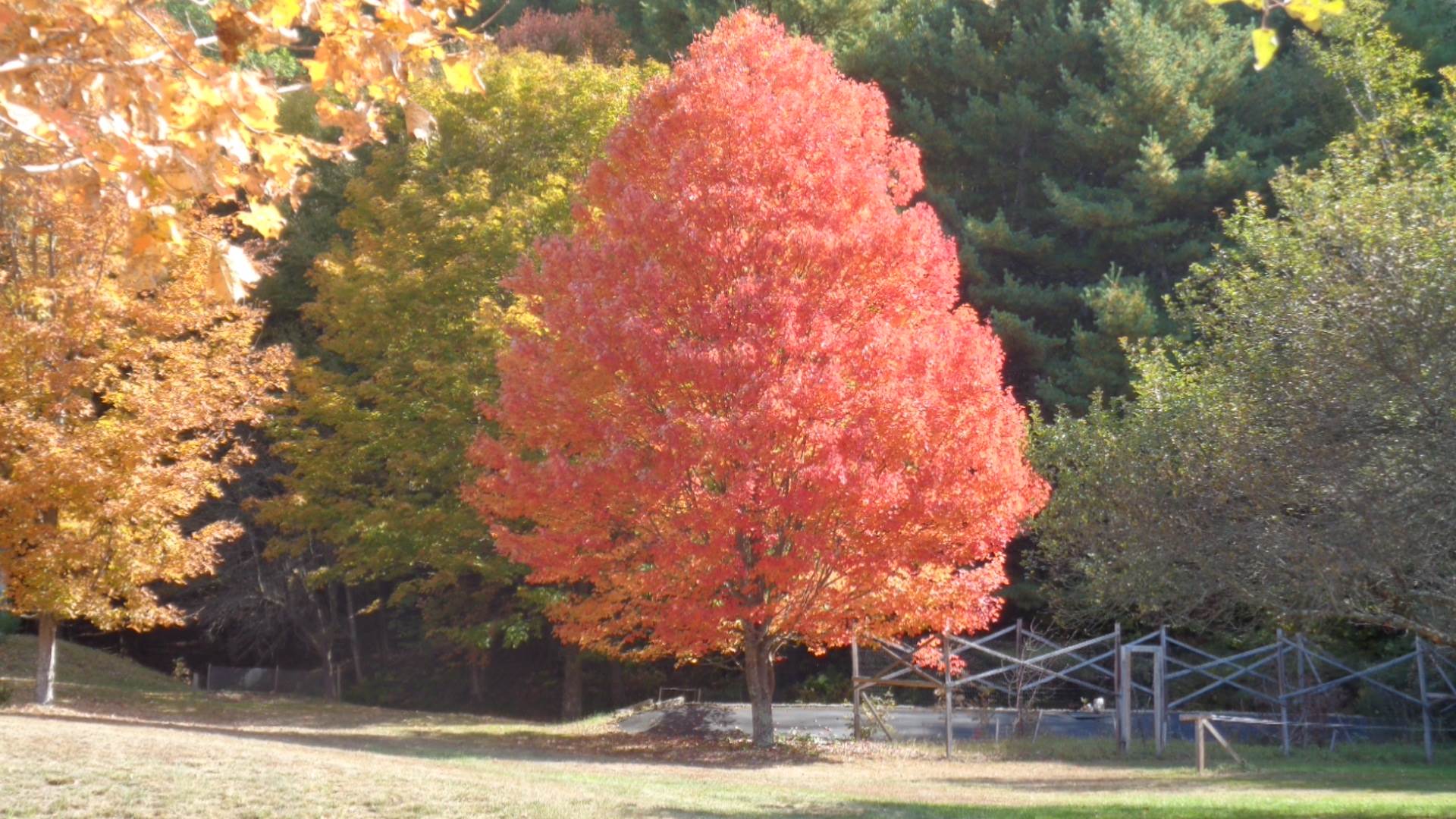 0 Montgomery Road East Randolph, VT 05041 - Photo 24 of 24