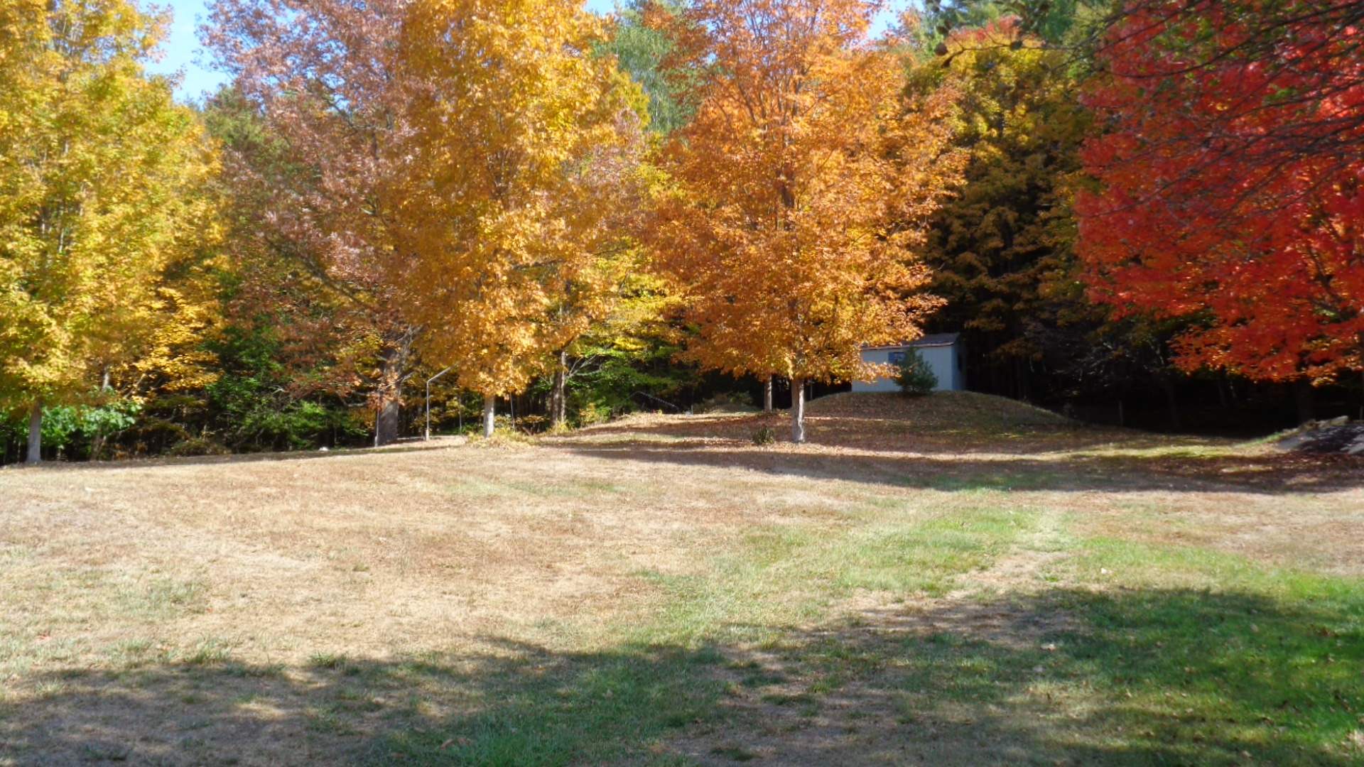 0 Montgomery Road East Randolph, VT 05041 - Photo 5 of 24
