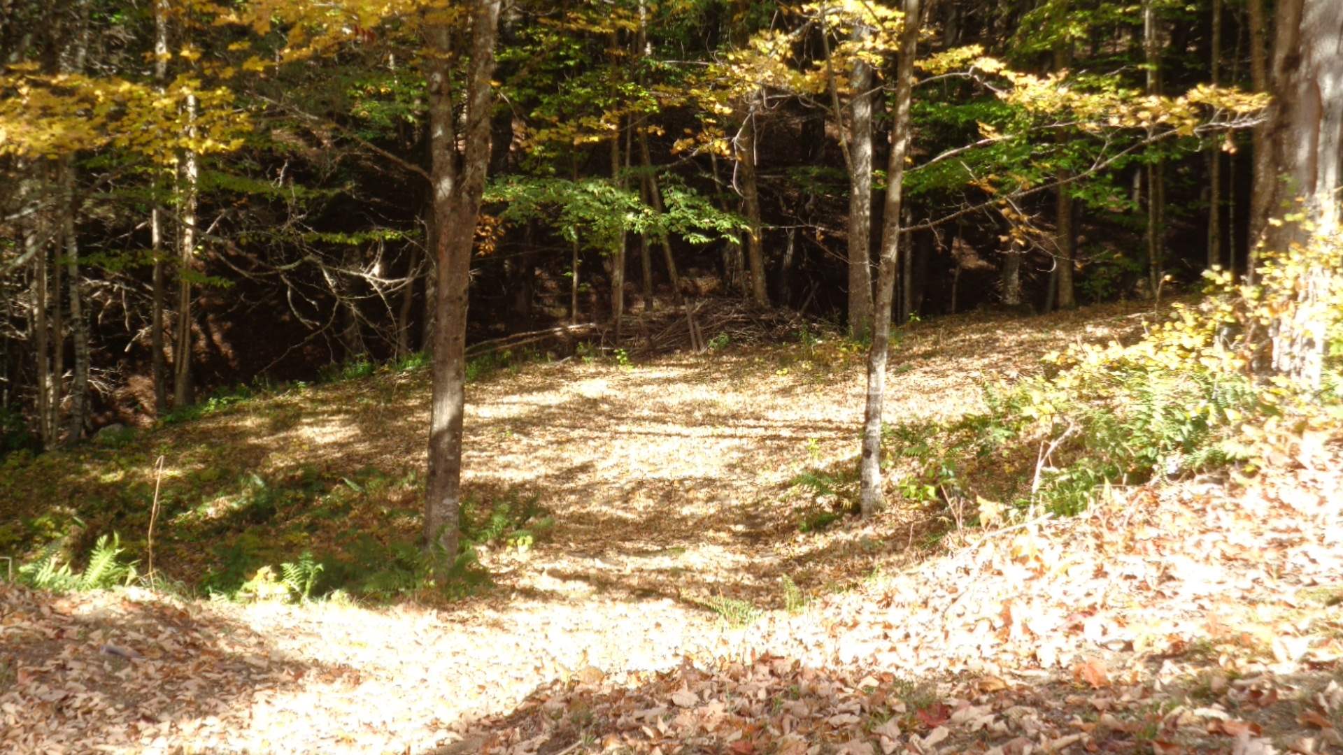 0 Montgomery Road East Randolph, VT 05041 - Photo 8 of 24