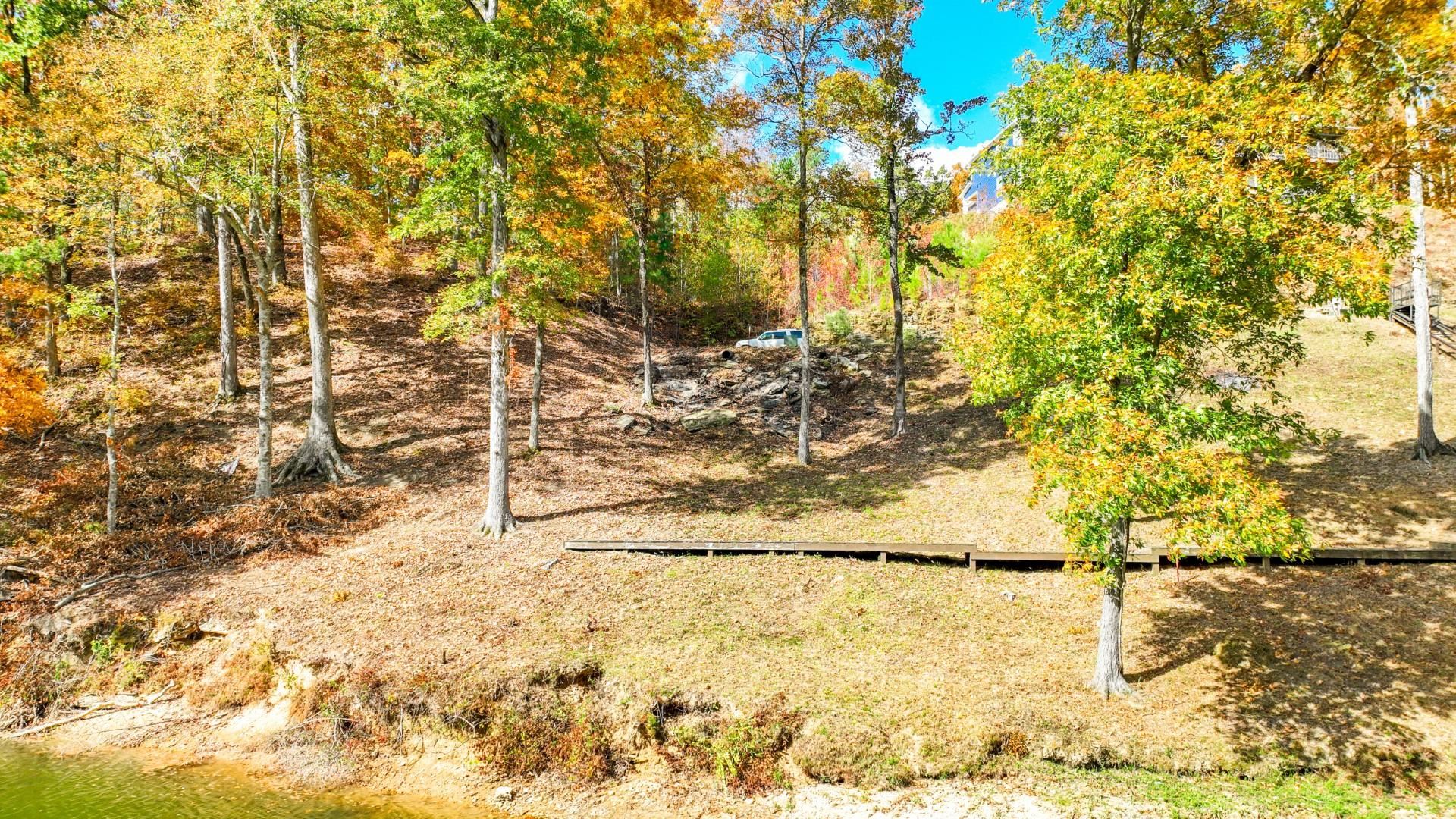 3 Breeze Point Savannah, TN 38372 - Photo 19 of 21 a view of a yard with large trees