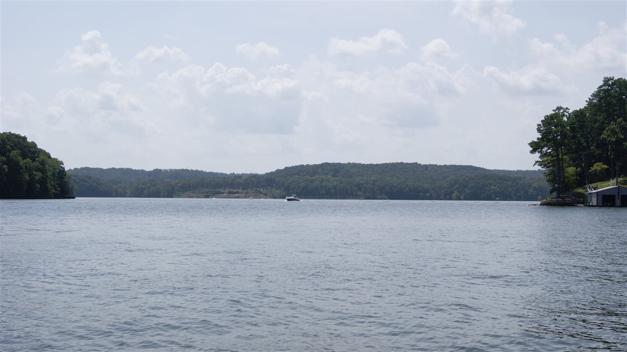 3 Breeze Point Savannah, TN 38372 - Photo 21 of 21 a view of lake
