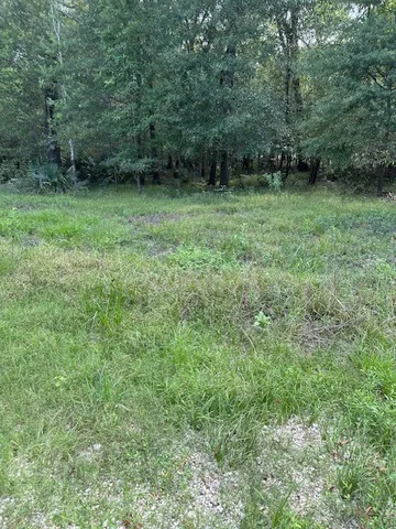 a view of field with trees in background