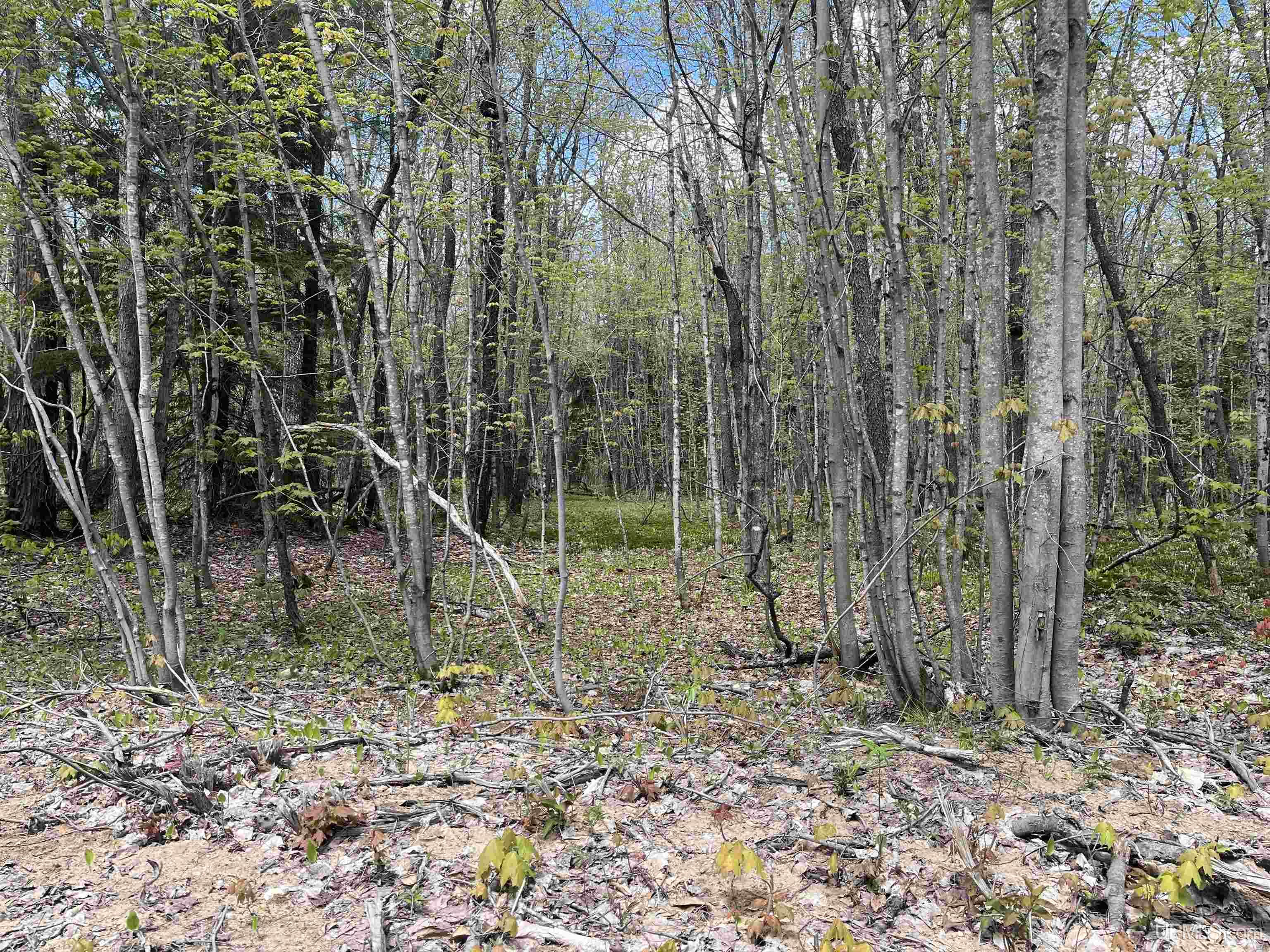 450 Rd Seney Mi 49883 Road Seney, MI 49883 - Photo 25 of 33