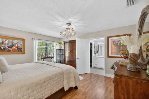 a view of a park with large trees