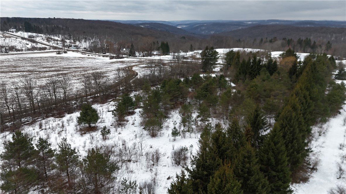 6616 Bennett Road Franklinville, NY 14737 - Photo 15 of 21