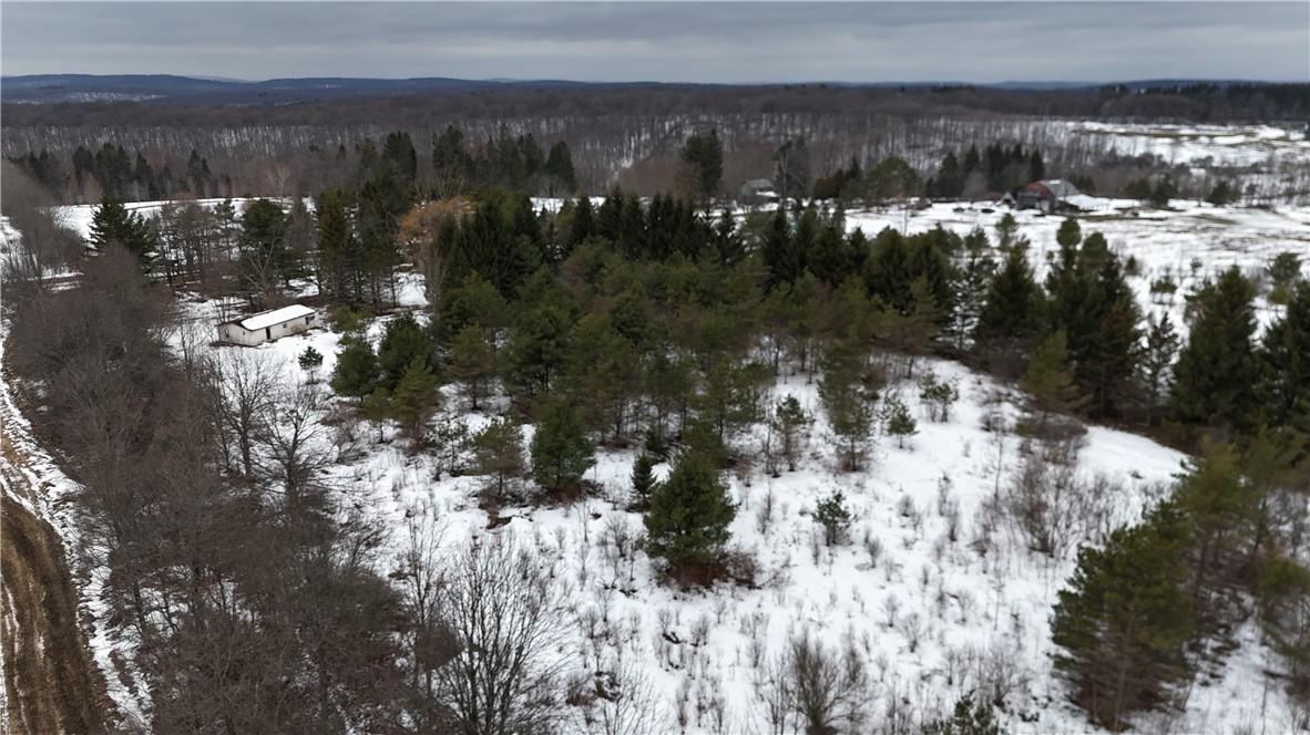 6616 Bennett Road Franklinville, NY 14737 - Photo 16 of 21