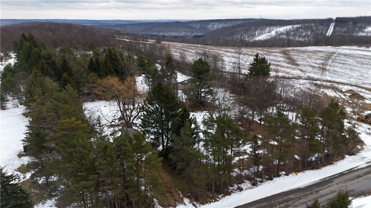 6616 Bennett Road Franklinville, NY 14737 - Photo 2 of 21