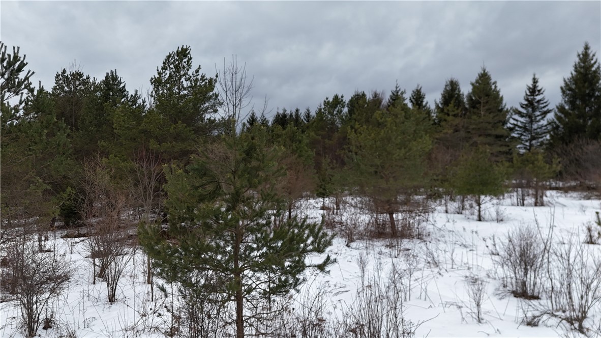 6616 Bennett Road Franklinville, NY 14737 - Photo 7 of 21