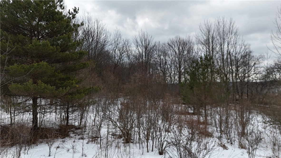 6616 Bennett Road Franklinville, NY 14737 - Photo 8 of 21