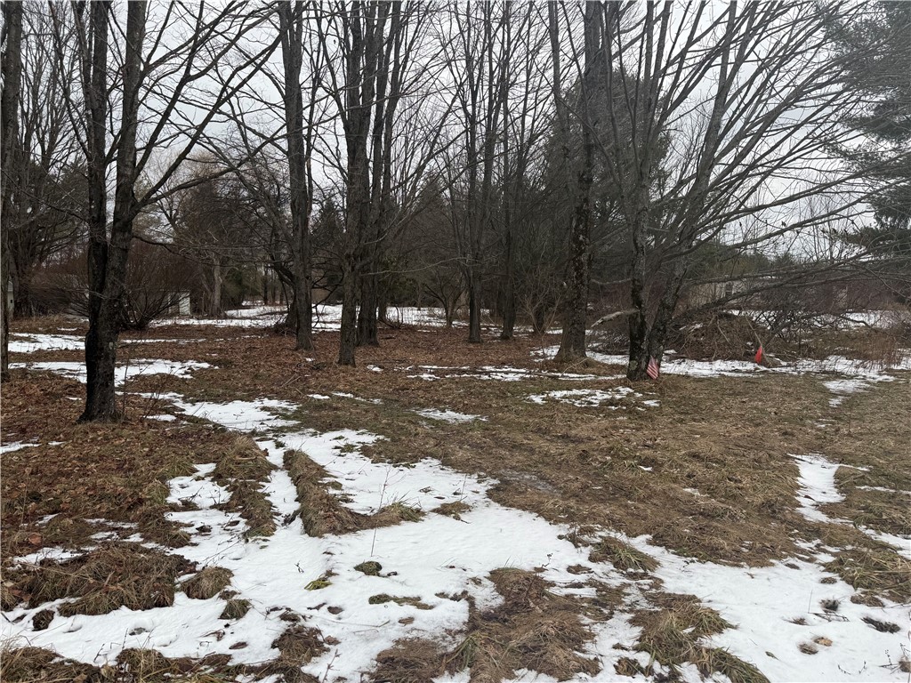 6616 Bennett Road Franklinville, NY 14737 - Photo 9 of 21