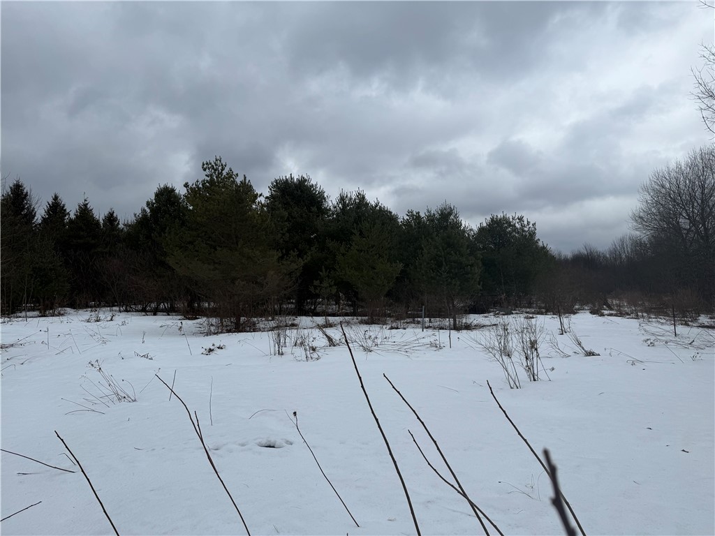 6616 Bennett Road Franklinville, NY 14737 - Photo 10 of 21